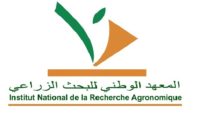 المعهد الوطني للبحث الزراعي : مباريات لتوظيف 30 مناصب. آخر أجل 21 ماي 2026
