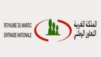 التعاون الوطني : مباريات لتوظيف 80 مناصب. آخر أجل 10 أكتوبر 2025