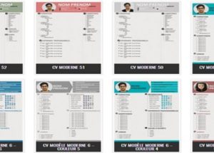 نماذج “CV” جاهزة للتحميل سيرة ذاتية احترافية باللغة الفرنسية والإنجليزية