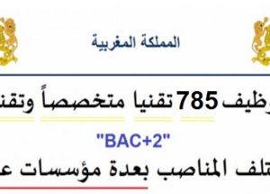 توظيف 785 تقنيا متخصصاً وتقنيين « bac+2 » في مختلف المناصب بعدة مؤسسات عمومية. الترشيح قبل 30 أبريل 2026