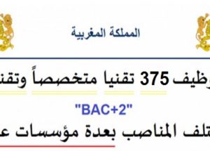 توظيف 375 تقنيا متخصصاً وتقنيين « bac+2 » في مختلف المناصب بعدة مؤسسات عمومية