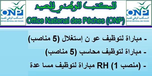 Recrutement (11) postes à l&rsquo;Office National des Pêches (Comptables – Assistant RH – Techniciens – Techniciens spécialisés) – توظيف (11) منصب