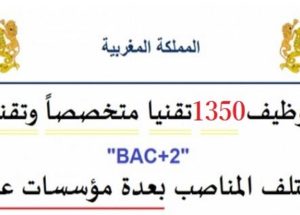 توظيف 1350 تقنيا متخصصاً وتقنيين « bac+2 » في مختلف المناصب بعدة مؤسسات عمومية