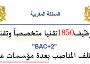 توظيف 1850 تقنيا متخصصاً وتقنيين « bac+2 » في مختلف المناصب بعدة مؤسسات عمومية