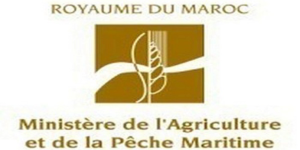 Recrutement (5) Ingénieurs d&rsquo;Etat 1er grade ~ Echelle 11 au Ministère de l’Agriculture – توظيف (5) منصب