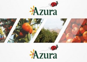 شركة Le groupe Azura تعلن عن حملة توظيف في عدة تخصصات