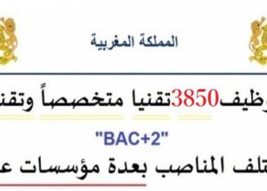توظيف 3850 تقنيا متخصصاً وتقنيين « bac+2 » في مختلف المناصب بعدة مؤسسات عمومية