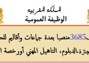 الوظيفة العمومية: مباراة توظيف 3685 منصبا في عدة درجات بمختلف الإدارات والمؤسسات العمومية