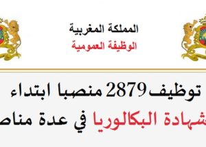 الوظيفة العمومية: توظيف 2879 منصبا ابتداء من شهادة البكالوريا في عدة مناصب