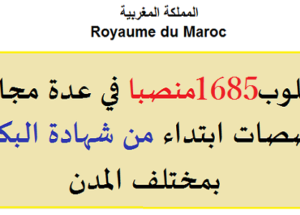 مطلوب 1685 منصبا في عدة مجالات وتخصصات ابتداء من شهادة البكالوريا بمختلف المدن