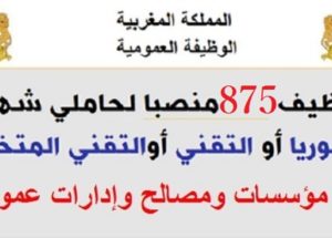 الوظيفة العمومية: توظيف 875 منصبا لحاملي شهادة البكالوريا أو التقني أو المتخصص بعدة جماعات محلية