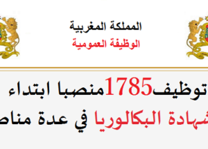 الوظيفة العمومية: توظيف 1785 منصبا ابتداء من شهادة البكالوريا في عدة مناصب