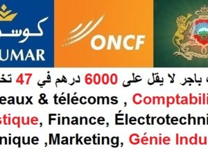 توظيف باجر لا يقل على 6000 درهم في 47 تخصصات : Électricité , Automatisme, Assurance, Comptabilité, RH, Finance, Mécanique, IT, BTP, Génie Industriel