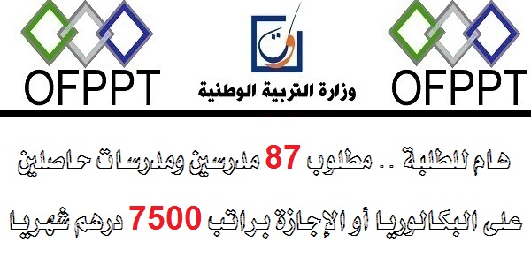 هام للطلبة .. مطلوب 87 مدرسين ومدرسات حاصلين على البكالوريا أو الإجازة براتب 7500 درهم شهريا