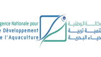 الوكالة الوطنية لتنمية تربية الأحياء البحرية : مباريات لتوظيف 09 مناصب. آخر أجل 19 يونيو 2026