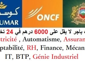 الشباب اللي كيقلب على الخدمة في الشركات الكبرى كاين بزاف ديال الوظائف بسالير مزيان و بكونترات مختلفة