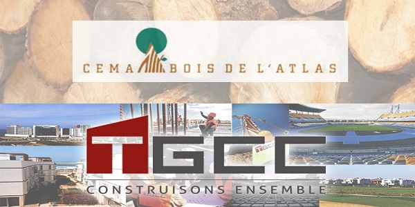 Recrutement chez TGCC & Cema Bois de l&rsquo;Atlas (Animateur HSE – Chargé des immobilisations – Contrôleur financier) – توظيف (3) منصب