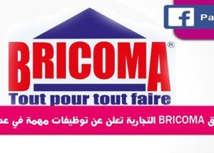 الشركة التجارية BRICOMA : تعلن عن توظيفات مهمة في عدة تخصصات
