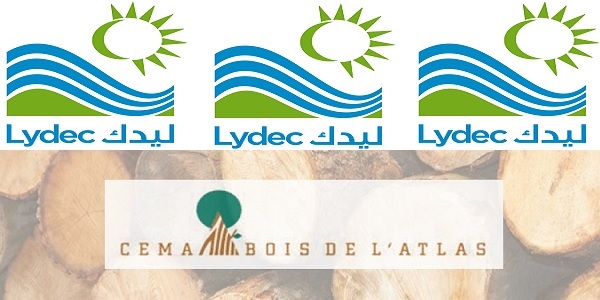 Recrutement chez Lydec & Cema Bois de l&rsquo;Atlas (Accounting Manager – Ingénieur Organisation) – توظيف (2) منصب