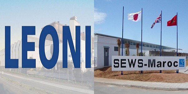 شركة LEONI & SEWS MAROC تعلن عن حملة توظيف في عدة تخصصات