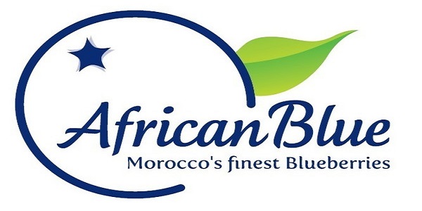 هام للشباب العاطل.. شركة African Blue إعلان عن حملة توظيف في عدة تخصصات