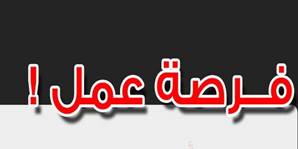 القطاع الخاص: توظيف 3.780 عامل(ة) و980 سائق و297 مراقب ومساعد أمني و492 مدرس(ة) و 750 بائع بعدة مدن