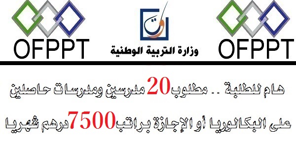 براتب 7500 درهم.. هيئة السلام الأمريكية بالرباط: توظيف 20 ملقن الدارجة والثقافة المغربية. آخر اجل هو 15 يونيو 2019