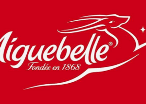 شركة MARWA & AIGUEBELLE تعلن عن حملة توظيف في عدة تخصصات