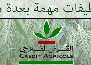 Crédit du Maroc recrute plusieurs profils