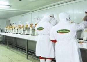 جديد الوظيفة : شركة KOUTOUBIA تعلن عن حملة توظيف في عدة تخصصات