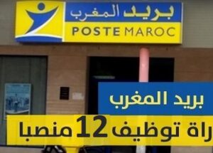 كونكور جديد بابريد المغرب في بعض الدرجات والتخصصات.12 منصب. آخر أجل هو 9 يونيو 2023