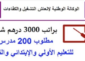 مطلوب 200 أستاذ(ة) للتعليم الخصوصي حاصلين على الباك أو الدبلوم أو الإجازة براتب 3111 درهم شهريا