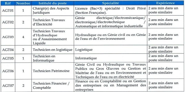 شركة التنمية المحلية طنجة تطوان أشغال التوزيع (SDL 3TD) : مباريات لتوظيف 27 مناصب. آخر أجل 24 يونيو 2024