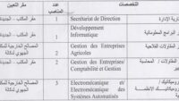 المكتب الجهوي للاستثمار الفلاحي لتادلة : مباريات لتوظيف 20 مناصب. آخر أجل 13 أكتوبر 2026