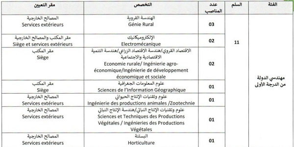 المكتب الجهوي للاستثمار الفلاحي للوكوس : مباريات لتوظيف 20 مناصب. آخر أجل 19 غشت 2024