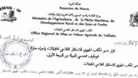 المكتب الجهوي للاستثمار الفلاحي لتافيلالت : مباريات لتوظيف 26 مناصب. آخر أجل 19 أكتوبر 2026