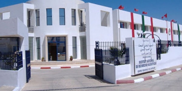 المعهد الوطني للبحث في الصيد البحري : مباريات لتوظيف 18 مناصب. آخر أجل 2 دجنبر 2025