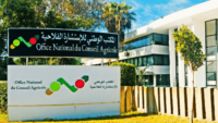 المكتب الوطني للإستشارة الفلاحية : مباريات لتوظيف 06 مناصب. آخر أجل 26 أكتوبر 2026