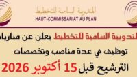 المندوبية السامية للتخطيط HCP : مباريات لتوظيف 20 مناصب. آخر أجل 15 أكتوبر 2026