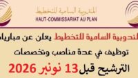 المندوبية السامية للتخطيط HCP : مباريات لتوظيف 11 مناصب. آخر أجل 13 نونبر 2026